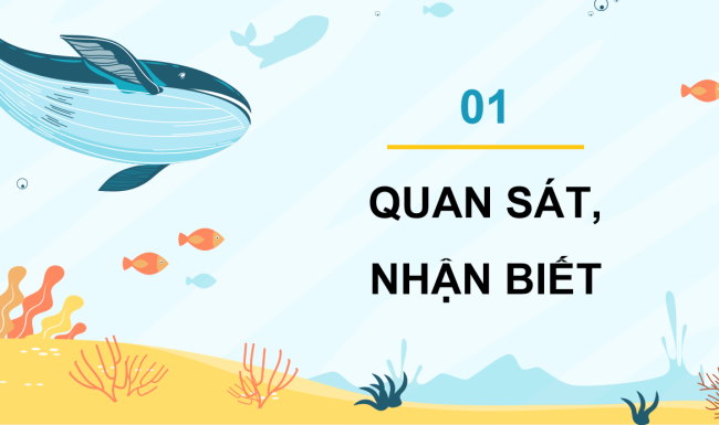 PowerPoint Mĩ thuật 5 Bài 10: Bảo vệ môi trường biển