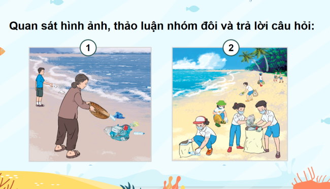 PowerPoint Mĩ thuật 5 Bài 10: Bảo vệ môi trường biển
