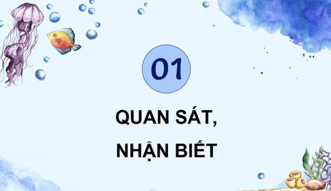 PowerPoint Mĩ thuật 5 Bài 9: Sinh vật biển