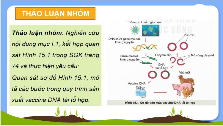 Giáo án PowerPoint Công nghệ 11 Bài 15