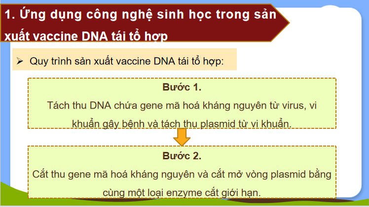 Giáo án PowerPoint Công nghệ 11 Bài 15