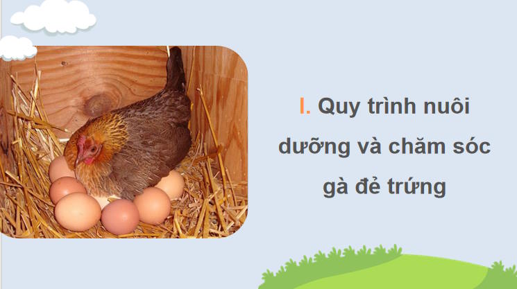 Giáo án PowerPoint Công nghệ 11 Bài 17