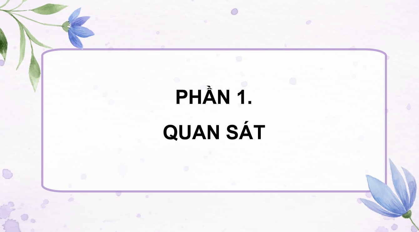 PowerPoint Mĩ thuật 8 KNTT Bài 8