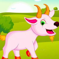 Giáo án Tiếng Việt 4 Bài 10: Viết bài văn kể lại một câu chuyện