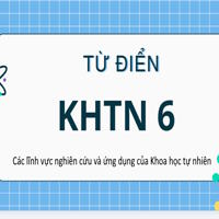 Các lĩnh vực nghiên cứu và ứng dụng của Khoa học tự nhiên