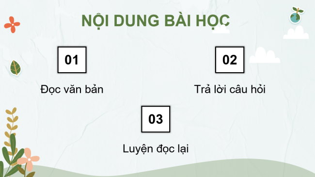 PowerPoint Tiếng Việt 4 Bài 13: Vườn của ông tôi