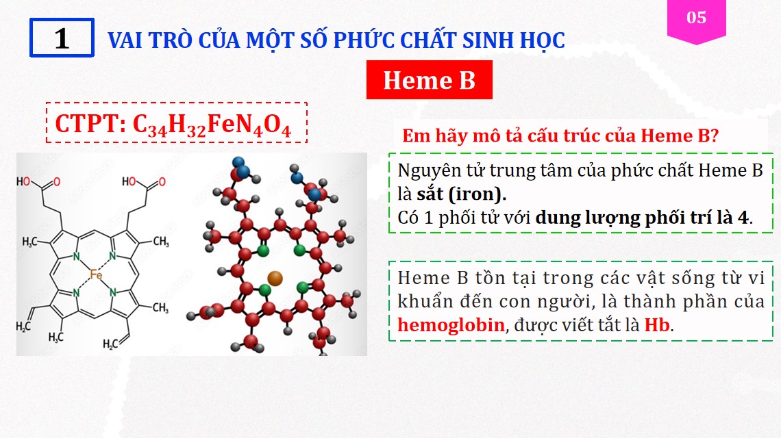 cd hoa 12 kntt b9 5*881270
