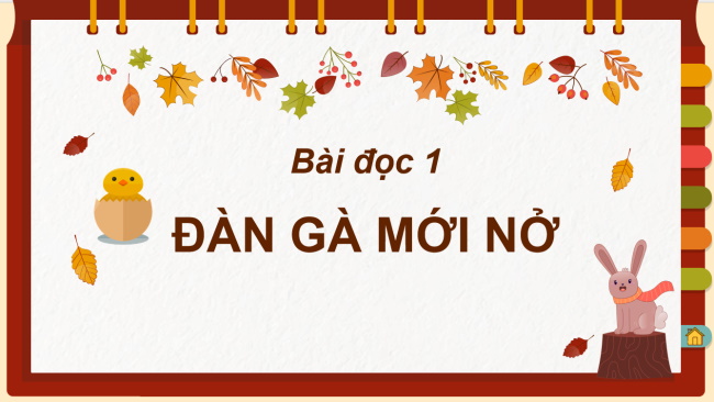 PowerPoint Tiếng Việt 2 Bài 19: Đàn gà mới nở