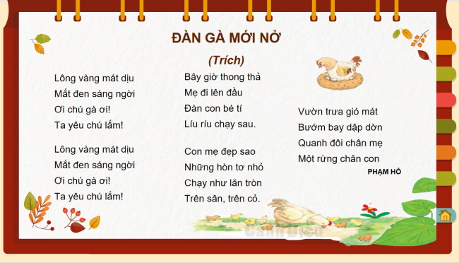 PowerPoint Tiếng Việt 2 Bài 19: Đàn gà mới nở