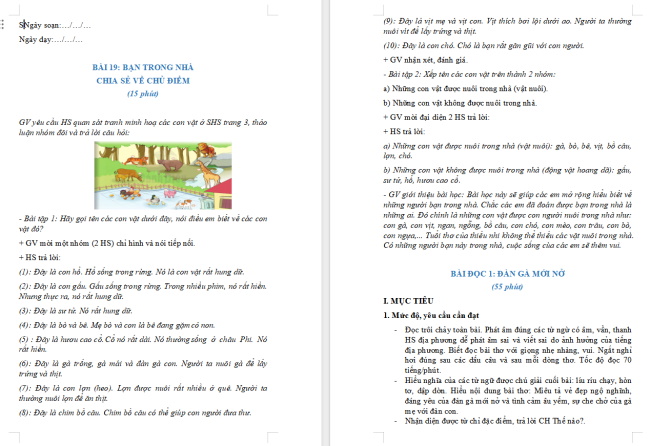 Giáo án Tiếng Việt 2 Bài 19: Đàn gà mới nở