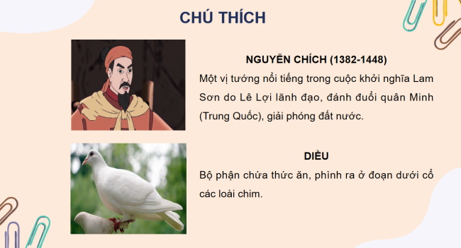 PowerPoint Tiếng Việt 2 Bài 19: Bồ câu tung cánh