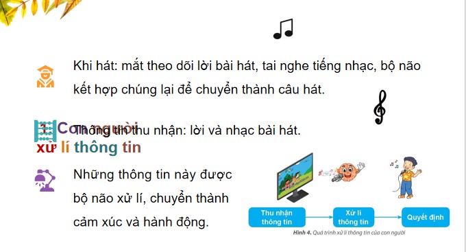 Tin hoc 3 KNTT bai 2 4*882154