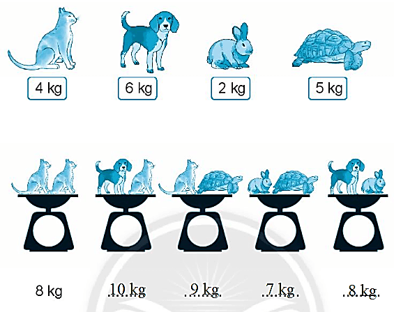 Giải vở bài tập Toán lớp 2 Ki-lô-gam (trang 91) - Chân trời sáng tạo