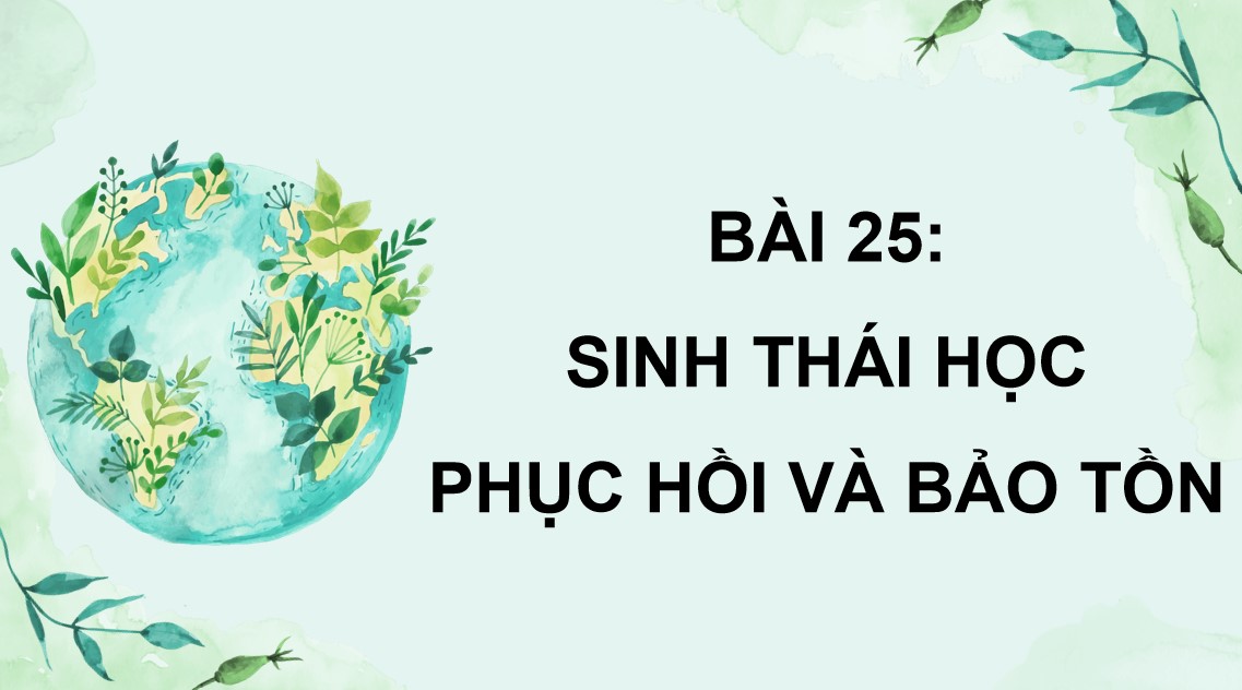 sinh 12 b25 3*882009