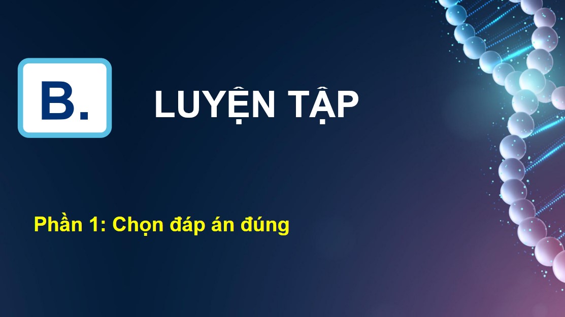 sinh 12 cd on tap p5 5*882058