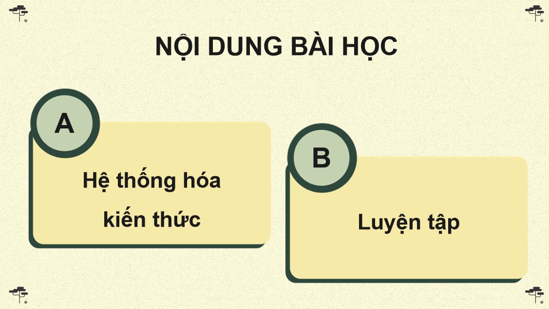 sinh 12 cd on tap p6 3*882066