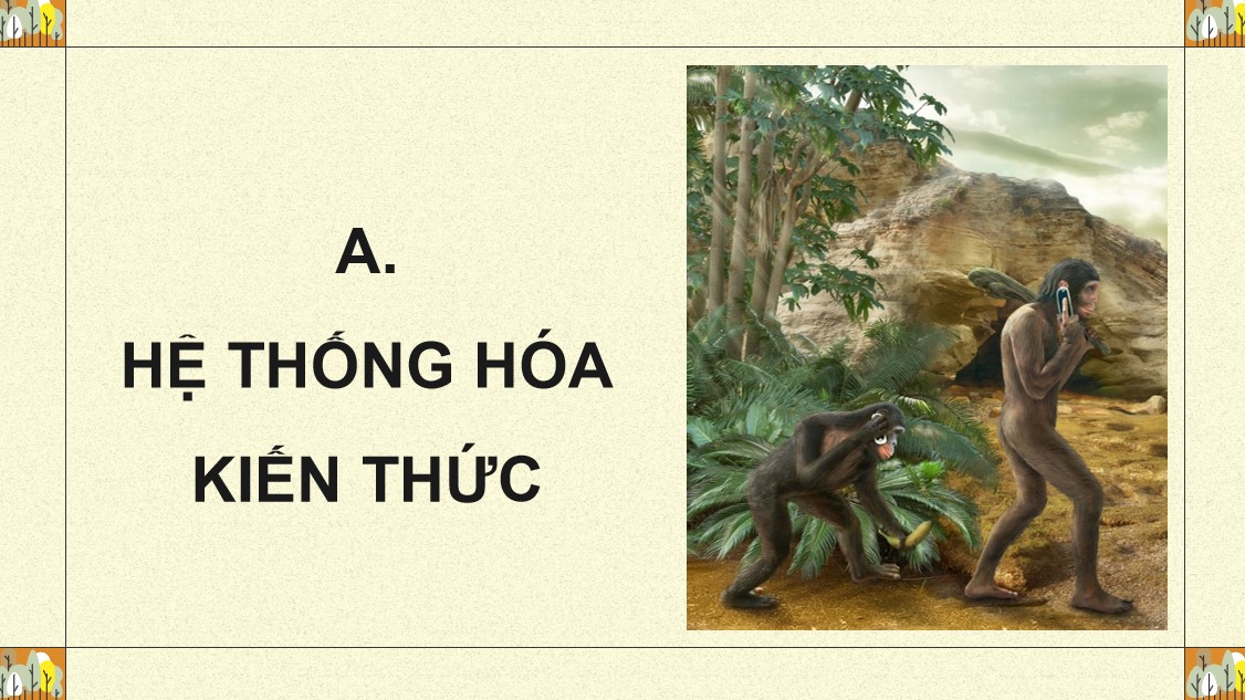 sinh 12 cd on tap p6 4*882067