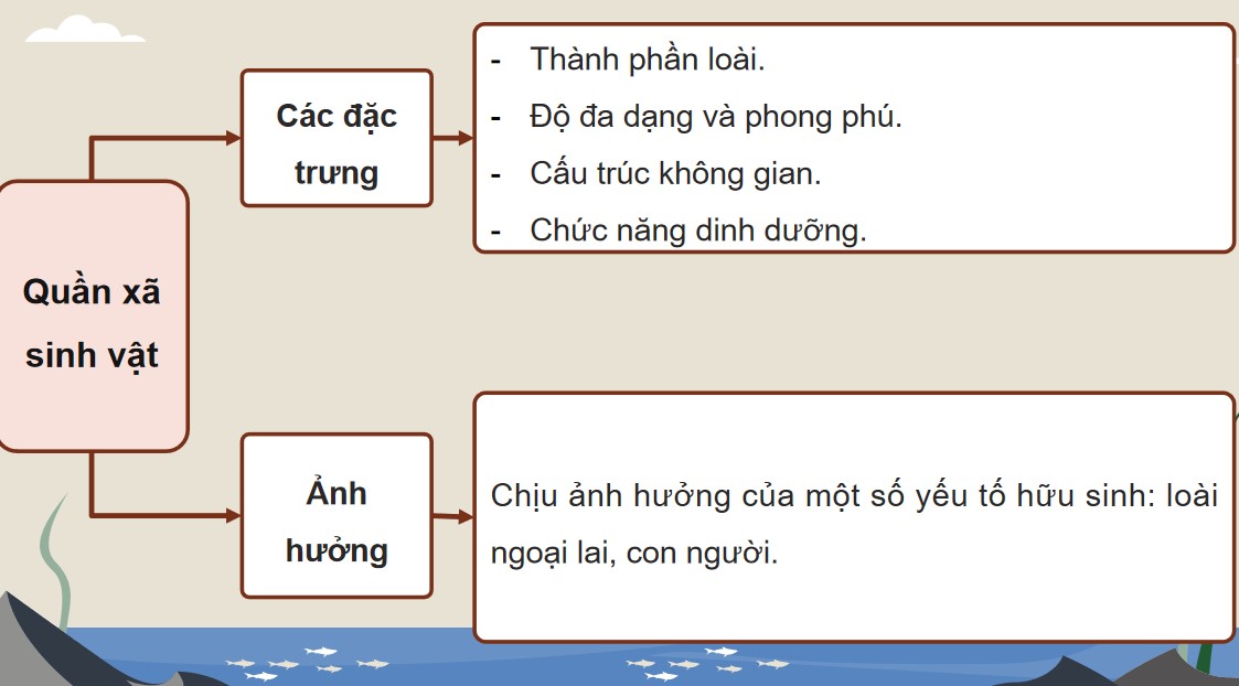 sinh 12 cd on tap p7 5*882074