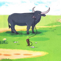 Giáo án Tiếng Việt 2 Bài 20: Con trâu đen lông mượt