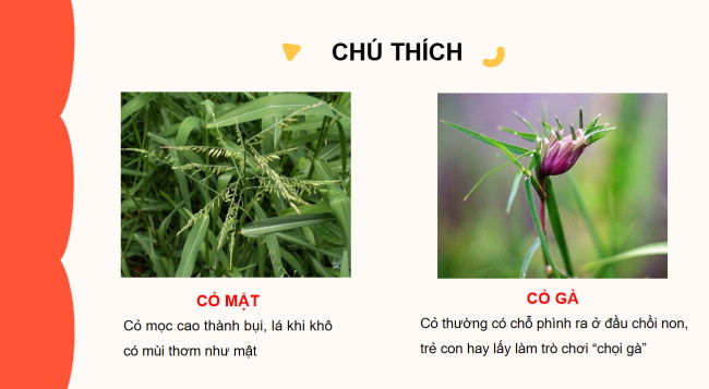 PowerPoint Tiếng Việt 2 Bài 20: Con trâu đen lông mượt