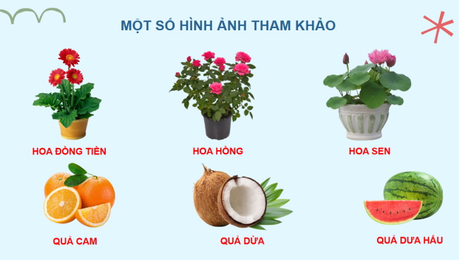 PowerPoint Tiếng Việt 2 Bài 21: Quan sát tranh ảnh cây, hoa, quả