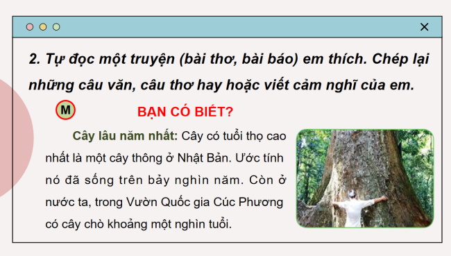 PowerPoint Tiếng Việt 2 Bài 21: Đọc sách báo viết về cây cối