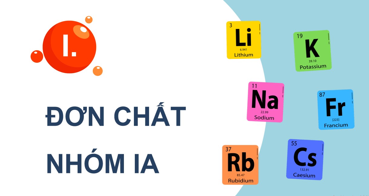 hoa 12 kntt b24 4*884853