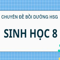 Chuyên đề bồi dưỡng HSG Sinh học 9: Hệ sinh thái