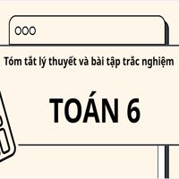 Tóm tắt lý thuyết và bài tập trắc nghiệm biểu đồ cột kép