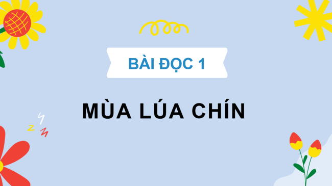 PowerPoint Tiếng Việt 2 Bài 22: Mùa lúa chín