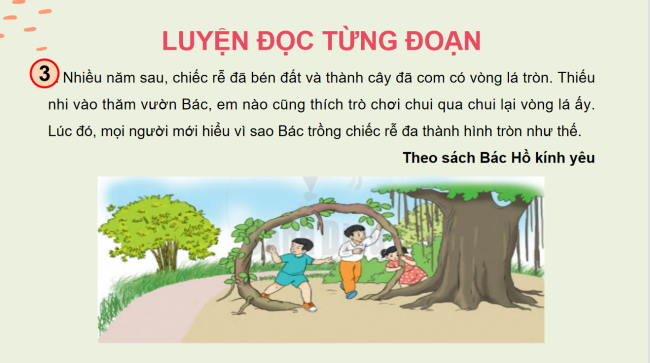 PowerPoint Tiếng Việt 2 Bài 22: Chiếc rễ đa tròn
