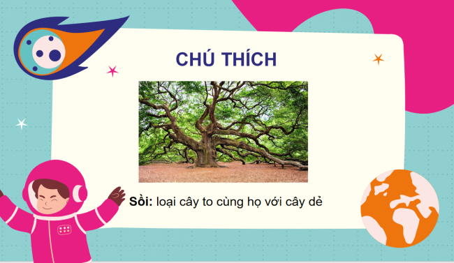 PowerPoint Tiếng Việt 2 Bài 22: Nghe - viết Mùa lúa chín, Chữ hoa S