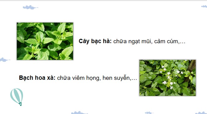 Tieng viet 5 KNTT bai 19 danh y tue tinh 3*886378