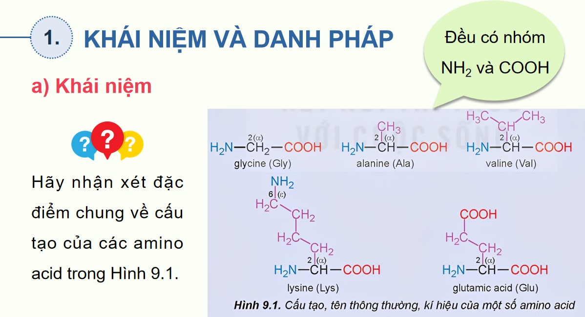 ppt hoa 12 kntt b9 5*885922