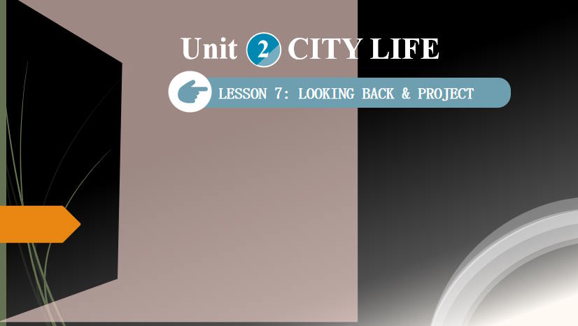 Giáo án Tiếng Anh 9 Unit 2 Looking Back