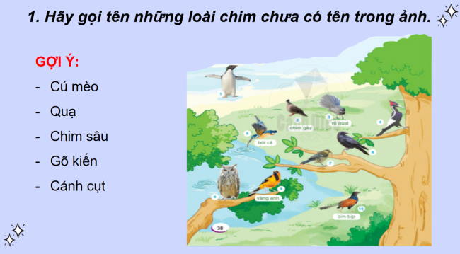 PowerPoint Tiếng Việt 2 Bài 23: Chim én