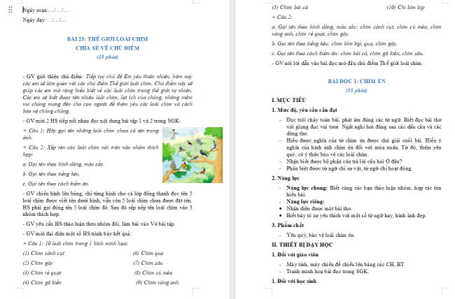 Giáo án Tiếng Việt 2 Bài 23: Chim én