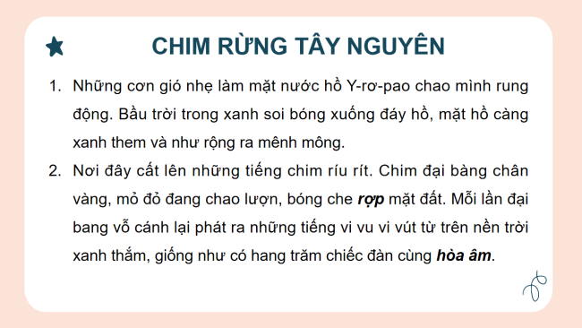 PowerPoint Tiếng Việt 2 Bài 23: Chim rừng Tây Nguyên