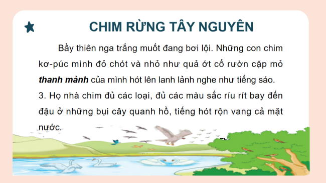 PowerPoint Tiếng Việt 2 Bài 23: Chim rừng Tây Nguyên