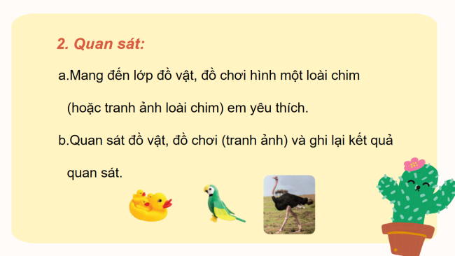 PowerPoint Tiếng Việt 2 Bài 23: Quan sát đồ chơi hình một loài chim