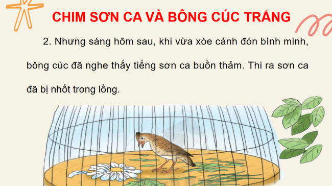 PowerPoint Tiếng Việt 2 Bài 24: Chim sơn ca và bông cúc trắng
