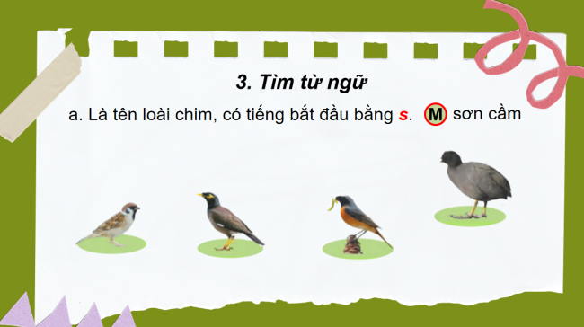 PowerPoint Tiếng Việt 2 Bài 24: Nghe - viết Chim rừng Tây Nguyên. Chữ hoa U, Ư