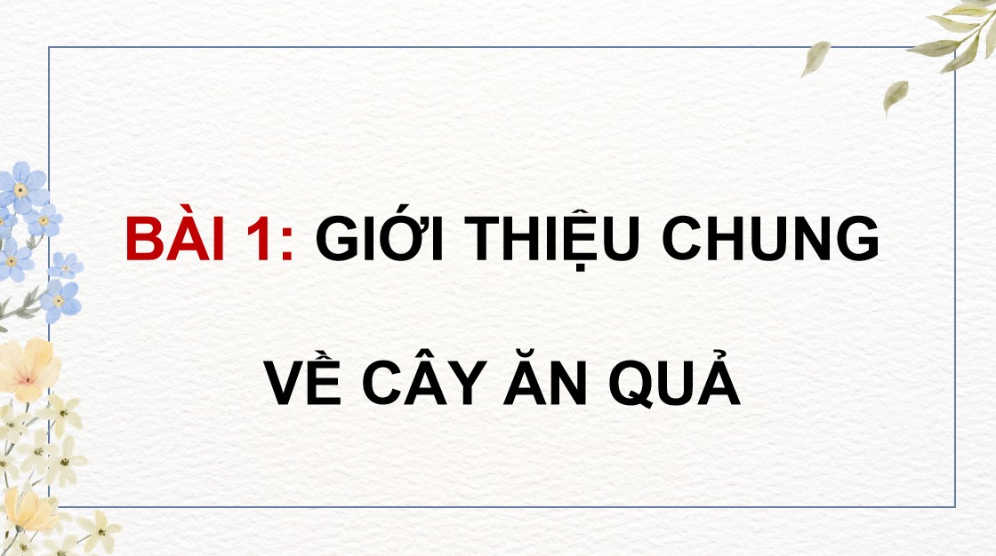 ppt cn 9 b1 3*886530