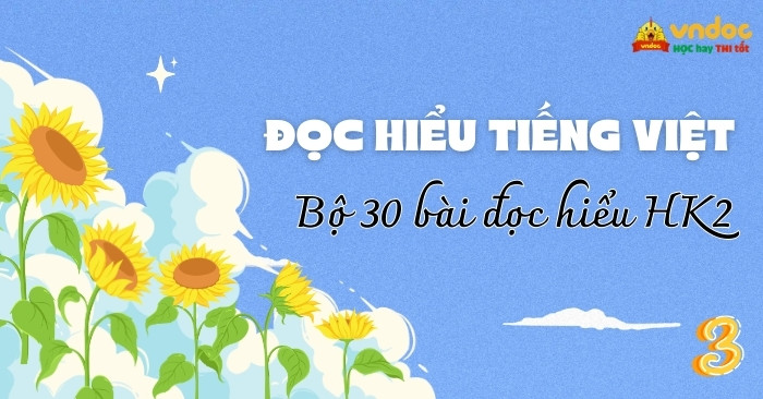 Bộ 30 bài Đọc hiểu Tiếng Việt lớp 3 Học kì 2 Kết nối tri thức (Có đáp án)
