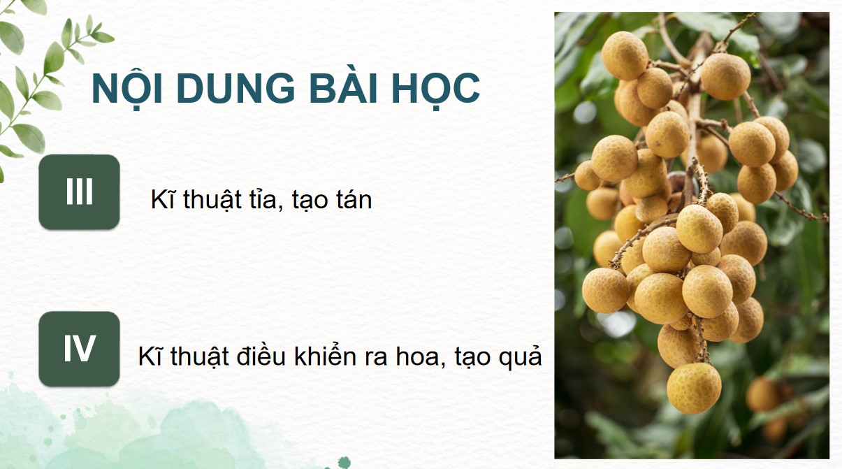 ppt cong nghe 9 tcaq bai4 4*887084