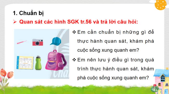 PowerPoint Tự nhiên và xã hội 3 Bài 13: Thực hành Khám phá cuộc sống xung quanh em