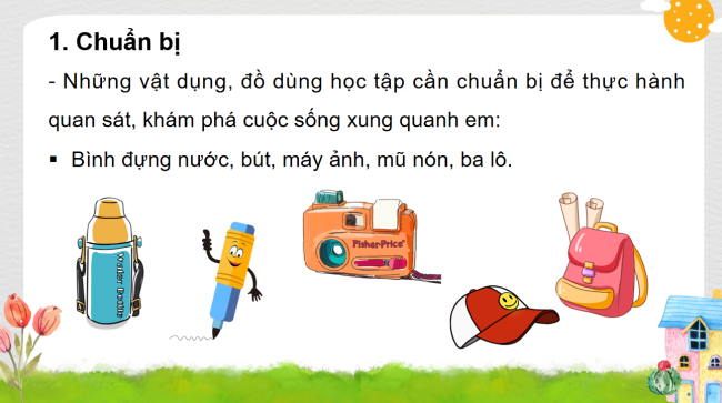 PowerPoint Tự nhiên và xã hội 3 Bài 13: Thực hành Khám phá cuộc sống xung quanh em