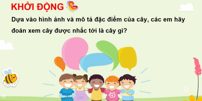 PowerPoint Tự nhiên và xã hội 3 Bài 15: Lá, thân, rễ của thực vật