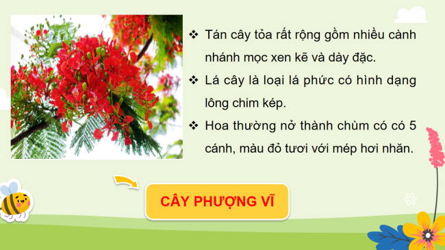 PowerPoint Tự nhiên và xã hội 3 Bài 15: Lá, thân, rễ của thực vật