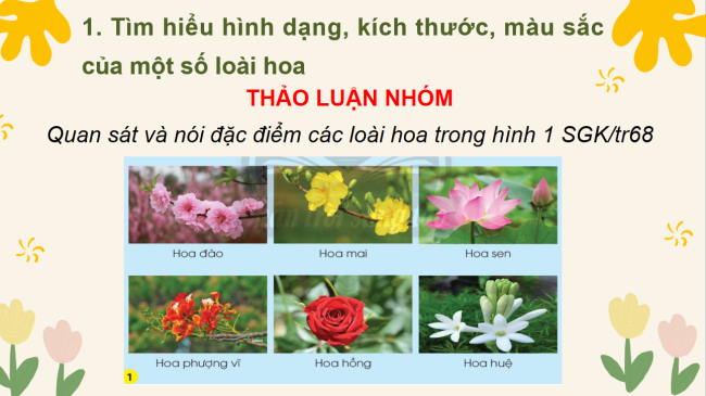 PowerPoint Tự nhiên và xã hội 3 Bài 16: Hoa và quả